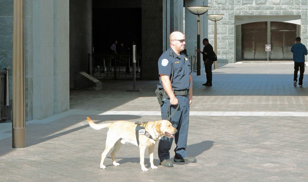 The Gossip Column: July 12, 2024